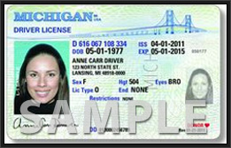 Michigan level 3 license rules